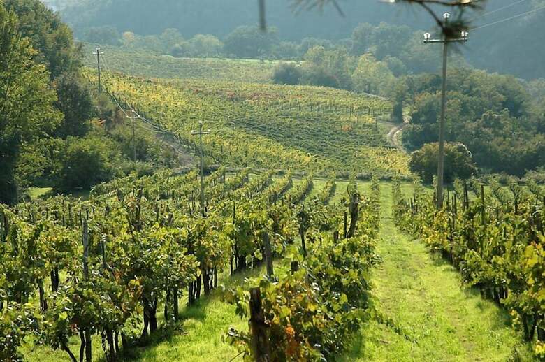 Agroturismo Fattoria Il Lago