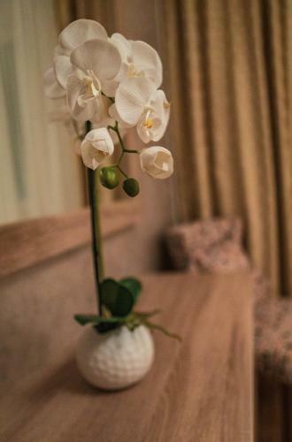 Luxury Apartments White Villa Violeta