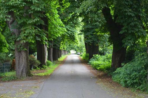 Apartamento Wohnung Am Weserradweg