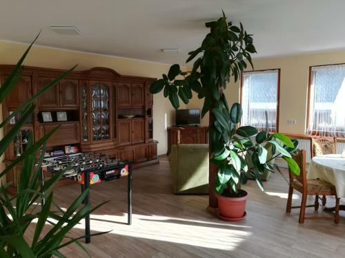 Hostal Die Oberlochm�hle Pension