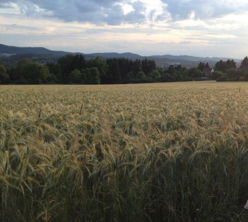 Apartamentos Lieblingsnest Detmold