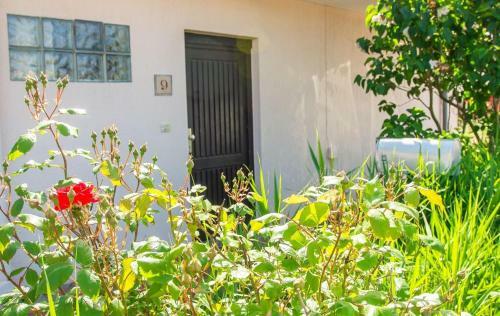 Apartamento Strandhaus-nr-9-og-links