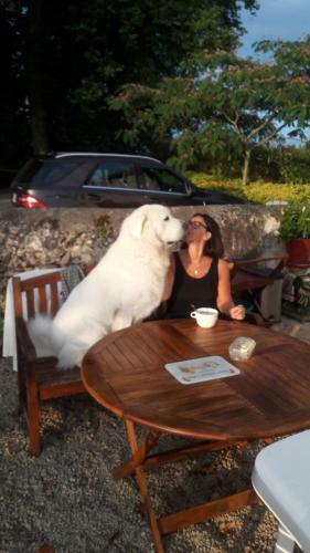 Bed & Breakfast Chambres D'h�tes "le Cam"