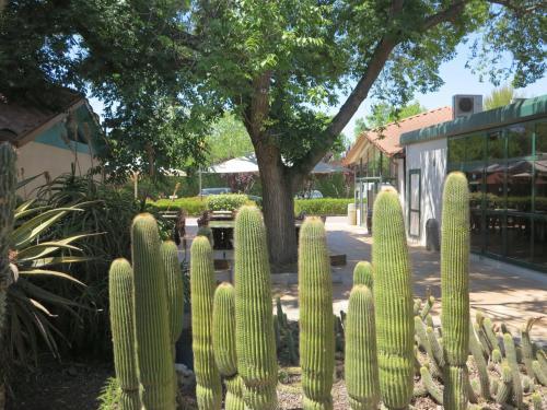 Camping La Pineda De Salou