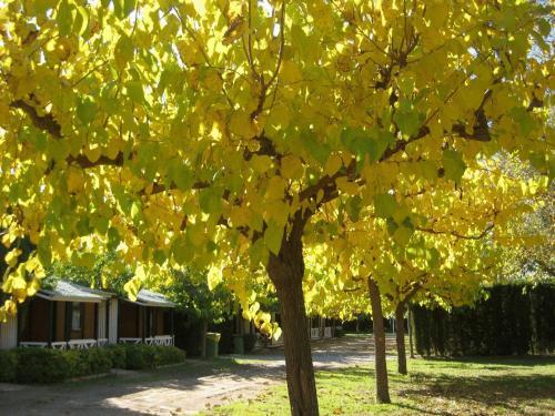 Camping La Pineda De Salou
