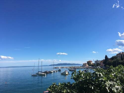 Apartment Ivone - 5 Stars