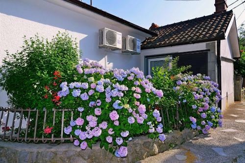 Apartment Ivone - 5 Stars