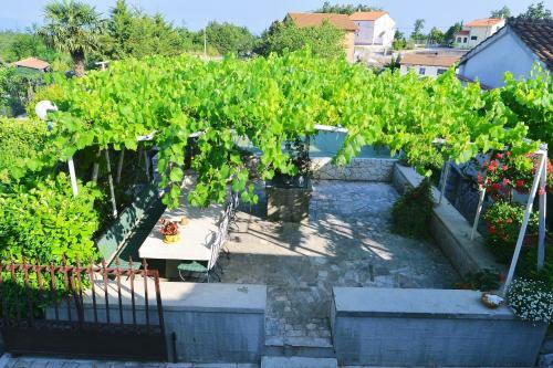 Apartment Ivone - 5 Stars