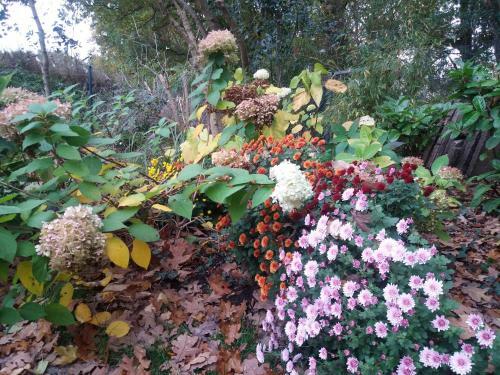 G�stehaus Am Brockeswald