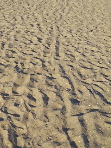 Apartamento Strandhaus-susi