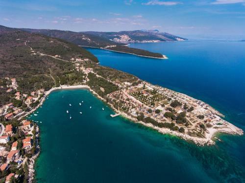 Villa Gogli With Private Pool In Rabac Labin