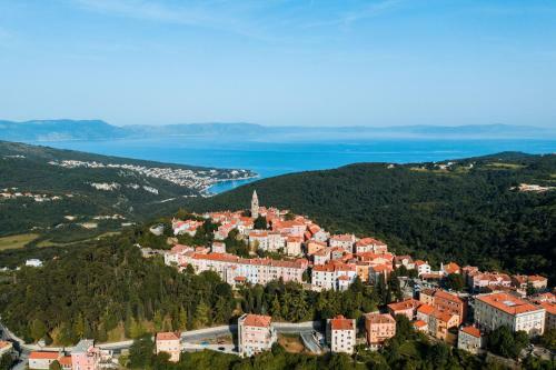 Villa Gogli With Private Pool In Rabac Labin