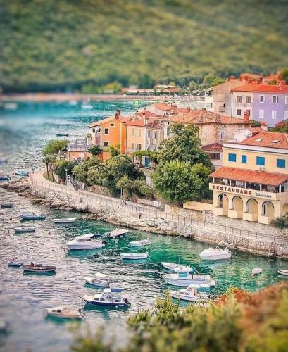 Villa Gogli With Private Pool In Rabac Labin
