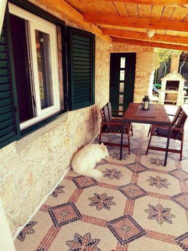 Apartments Mali Dvor Novigrad