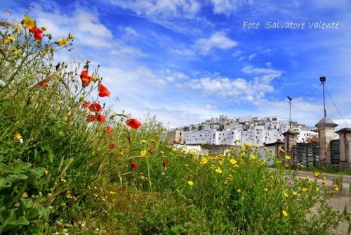 Apartamento B&B La Terrazza Sul Ponte