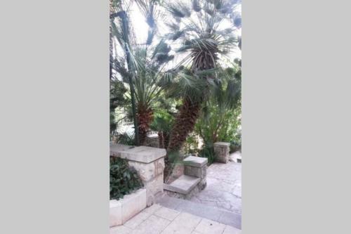 Dream House Near The Sea