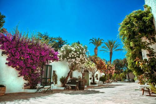 Agroturismo Masseria Il Frantoio