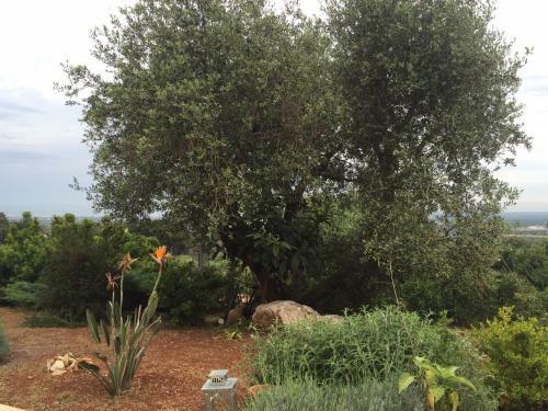 Guest House B&B Pietra Bianca