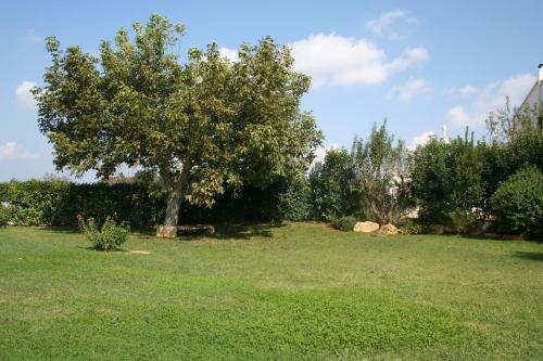 Apartamento Terra Sessana