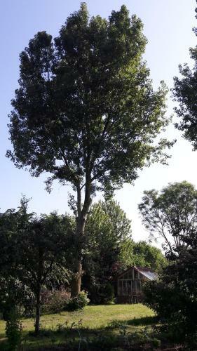 Bed & Breakfast Le Bien-venant
