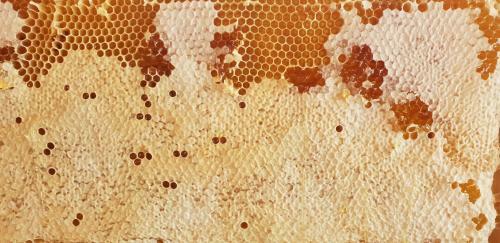 Holiday Home Verin