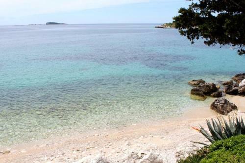 Apartments By The Sea Mlini, Dubrovnik - 8971