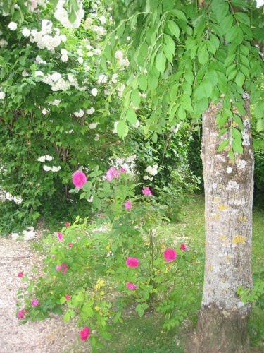 Bed & Breakfast Le Jardin De Rose