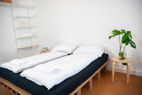 New Design Apartment