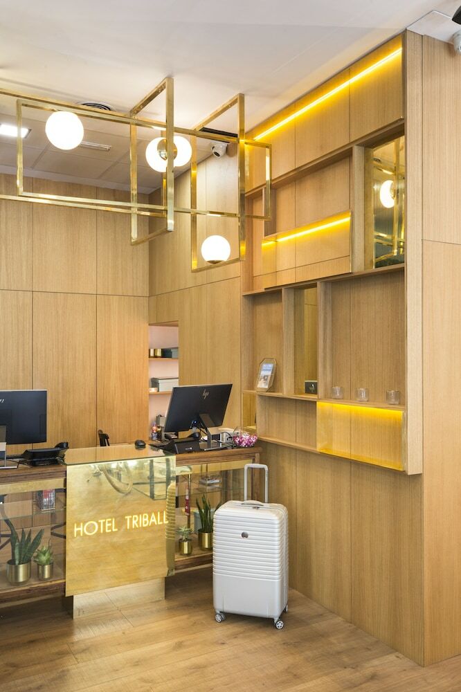 Hotel Petit Palace Triball