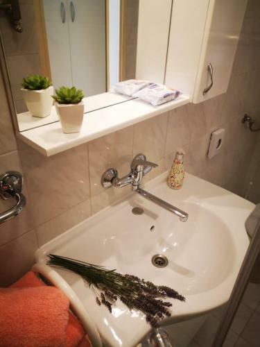 Apartmani Rita Studio