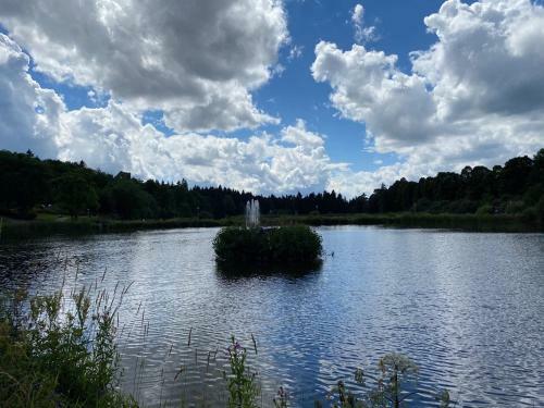 Apartamento Steinm�nnchen Ferienwohnung