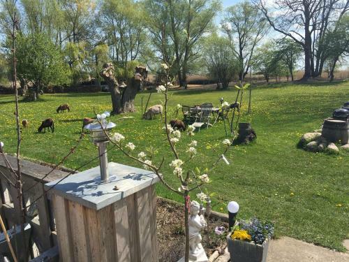 Holiday Home Along The Achterwasser In L�tow