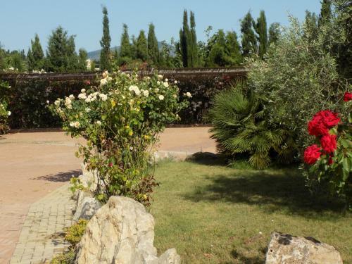 Apartamento Villa Sorrentina