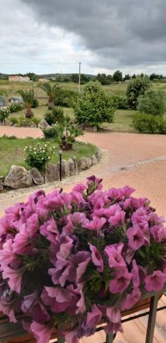 Apartamento Villa Sorrentina
