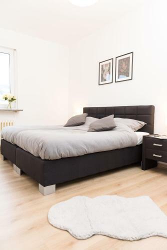Apartamento - Neu - Gro�e & Gem�tliche 3 Zimmer Wohnung