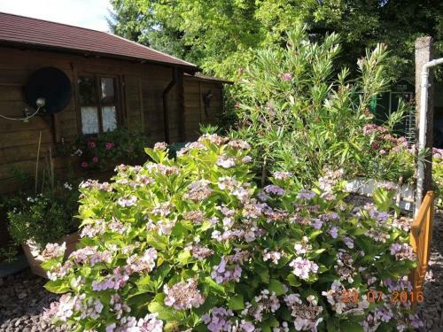 Apartamento Ferienwohnung Hanni