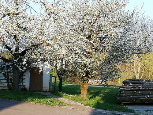 Apartamento Ferienwohnung Am Bioland-bauernhof