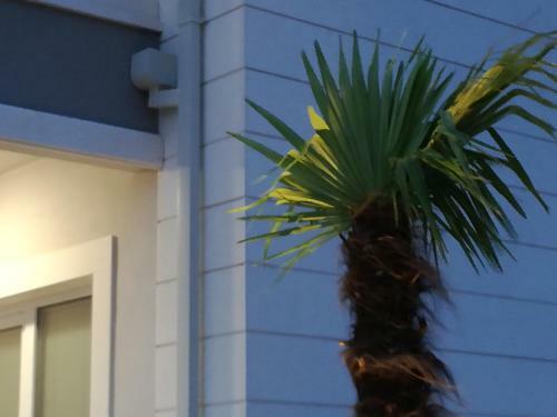 Hostal Apartments Villa Hadria