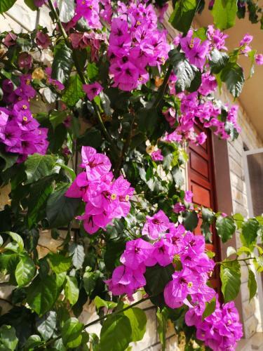 Hostal Sweet Room In Makarska