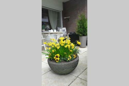 Apartamento 1 Zimmer Appartement Cap Arcona