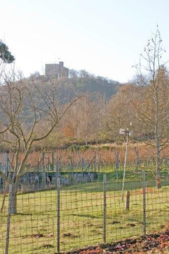 Apartamento Ferienwohnungen Anneliese