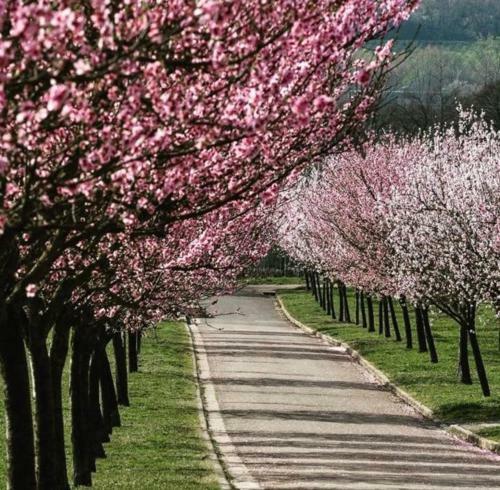 Apartamento Wohnen Im Herzen Der Pfalz