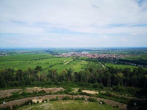 Apartamento Wohnen Im Herzen Der Pfalz