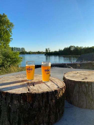 Apartamento Wohnen Im Herzen Der Pfalz