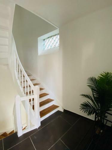 Apartamento Wohnen Im Herzen Der Pfalz