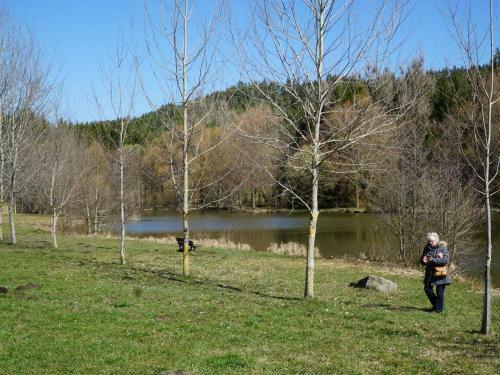 Apartamento Ferienwohnung Am Eschachw�ldle