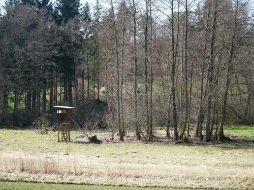 Apartamento Ferienwohnung Am Eschachw�ldle