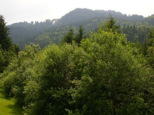 Apartamento Ciao-aschau Sachrang-grenzhub Fewo 312 G�ke