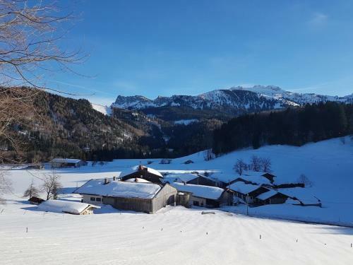 Apartamento Gschwendtnerhof App10 Krausw