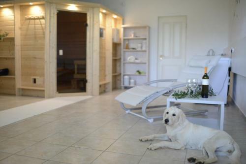 Domizil Opatija A&n, Villa Mit Pool, Sauna U Gro�em Garten
